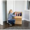 Bankers Box Short Wardrobe Box 3 Pack, 20-in x 20-in x 34-in (7710902)(Large 3pk)